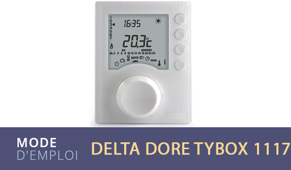 Delta Dore Tybox 1117